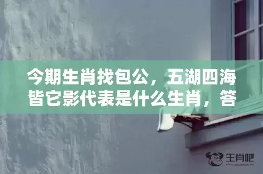 今期生肖找包公，五湖四海皆它影代表是什么生肖，答案曝光落实