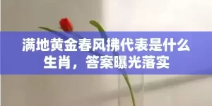 满地黄金春风拂代表是什么生肖，答案曝光落实