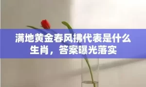 满地黄金春风拂代表是什么生肖，答案曝光落实