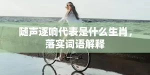 随声逐响代表是什么生肖，落实词语解释