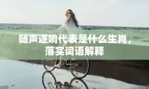 随声逐响代表是什么生肖，落实词语解释