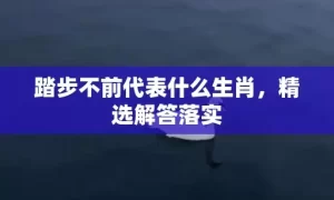 踏步不前代表什么生肖，精选解答落实