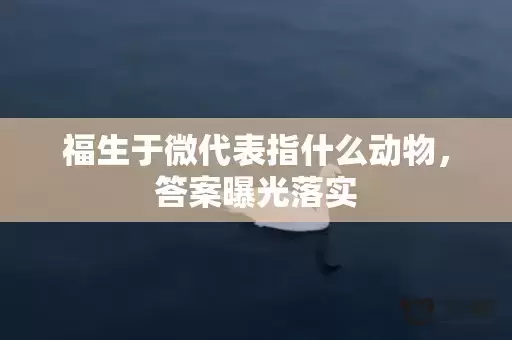 福生于微代表指什么动物，答案曝光落实