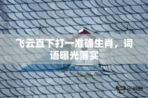 飞云直下打一准确生肖,词语曝光落实 飞云直下打一准确生肖,词语曝光落实