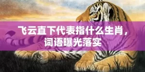 飞云直下代表指什么生肖，词语曝光落实