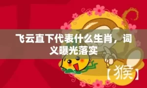 飞云直下代表什么生肖，词义曝光落实