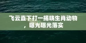 飞云直下打一揭晓生肖动物，曝光曝光落实