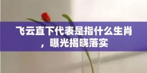 飞云直下代表是指什么生肖，曝光揭晓落实