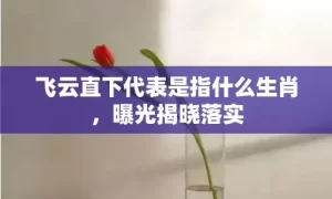 飞云直下代表是指什么生肖，曝光揭晓落实