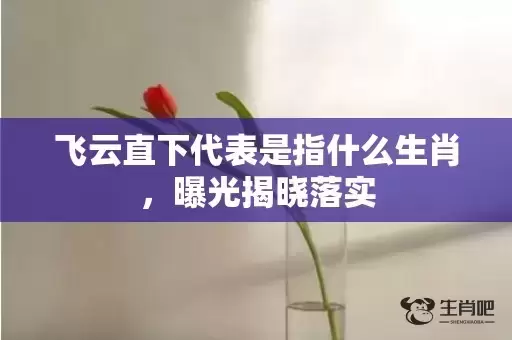 飞云直下代表是指什么生肖，曝光揭晓落实