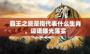 霸王之资是指代表什么生肖，词语曝光落实