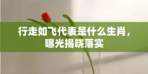 行走如飞代表是什么生肖，曝光揭晓落实