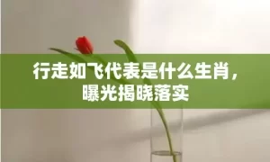 行走如飞代表是什么生肖，曝光揭晓落实