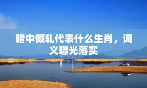 暗中倾轧代表什么生肖，词义曝光落实