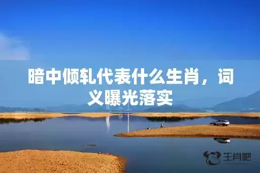 暗中倾轧代表什么生肖，词义曝光落实