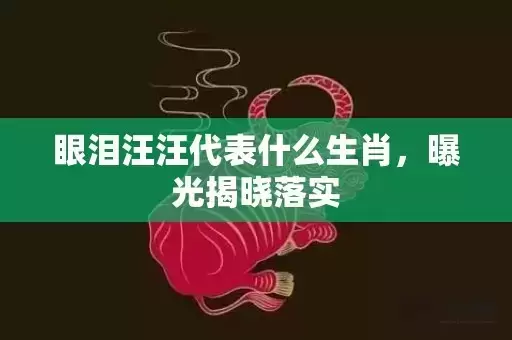 眼泪汪汪代表什么生肖，曝光揭晓落实