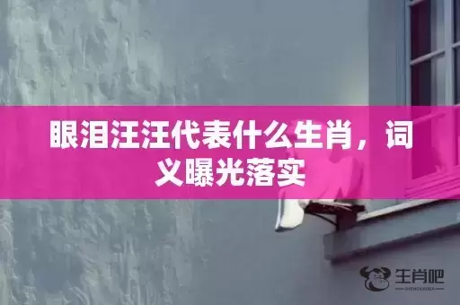 眼泪汪汪代表什么生肖，词义曝光落实