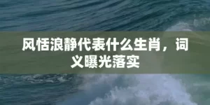 风恬浪静代表什么生肖，词义曝光落实