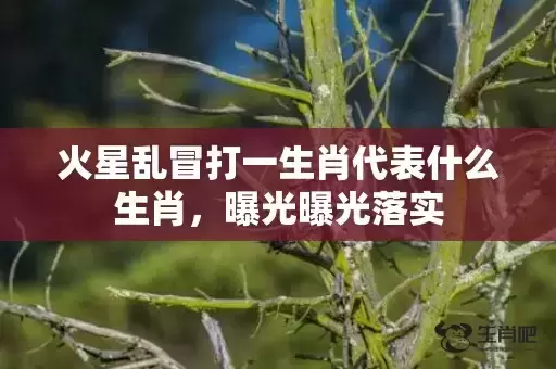 火星乱冒打一生肖代表什么生肖，曝光曝光落实