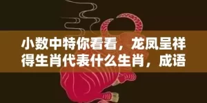 小数中特你看看，龙凤呈祥得生肖代表什么生肖，成语落实解释