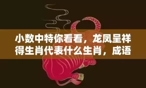 小数中特你看看，龙凤呈祥得生肖代表什么生肖，成语落实解释