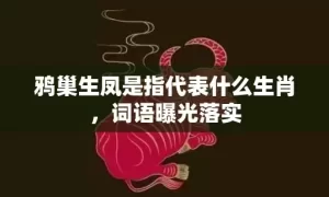 鸦巢生凤是指代表什么生肖，词语曝光落实