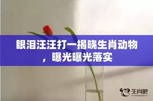 眼泪汪汪打一揭晓生肖动物，曝光曝光落实