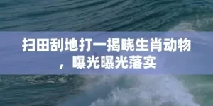 扫田刮地打一揭晓生肖动物，曝光曝光落实