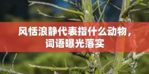 风恬浪静代表指什么动物，词语曝光落实