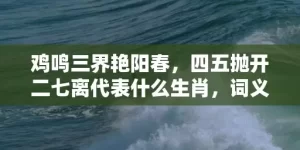 鸡鸣三界艳阳春，四五抛开二七离代表什么生肖，词义曝光落实