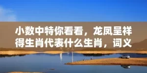 小数中特你看看，龙凤呈祥得生肖代表什么生肖，词义曝光落实