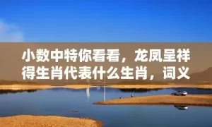 小数中特你看看，龙凤呈祥得生肖代表什么生肖，词义曝光落实