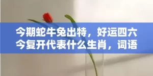 今期蛇牛兔出特，好运四六今复开代表什么生肖，词语曝光落实