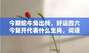 今期蛇牛兔出特，好运四六今复开代表什么生肖，词语曝光落实