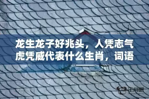 龙生龙子好兆头，人凭志气虎凭威代表什么生肖，词语曝光落实