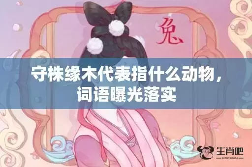 守株缘木代表指什么动物，词语曝光落实