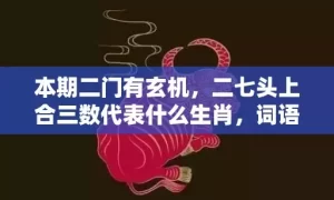 本期二门有玄机，二七头上合三数代表什么生肖，词语曝光落实