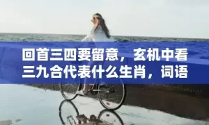 回首三四要留意，玄机中看三九合代表什么生肖，词语曝光落实