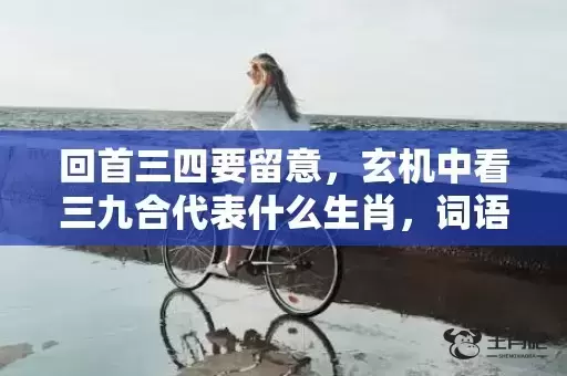 回首三四要留意，玄机中看三九合代表什么生肖，词语曝光落实