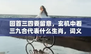 回首三四要留意，玄机中看三九合代表什么生肖，词义曝光落实