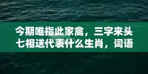 今期唯指此家禽，三字来头七相送代表什么生肖，词语曝光落实