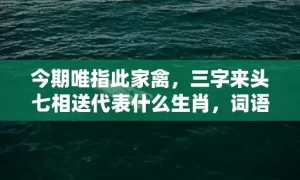 今期唯指此家禽，三字来头七相送代表什么生肖，词语曝光落实