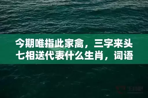 今期唯指此家禽，三字来头七相送代表什么生肖，词语曝光落实