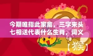 今期唯指此家禽，三字来头七相送代表什么生肖，词义曝光落实