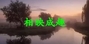 相映成趣