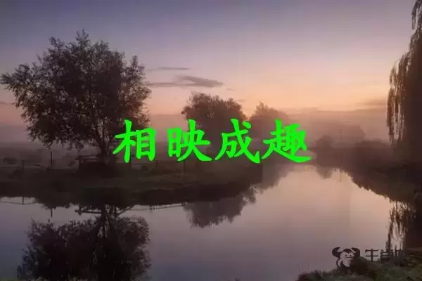 相映成趣