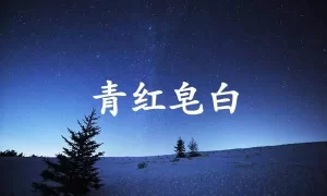 青红皂白