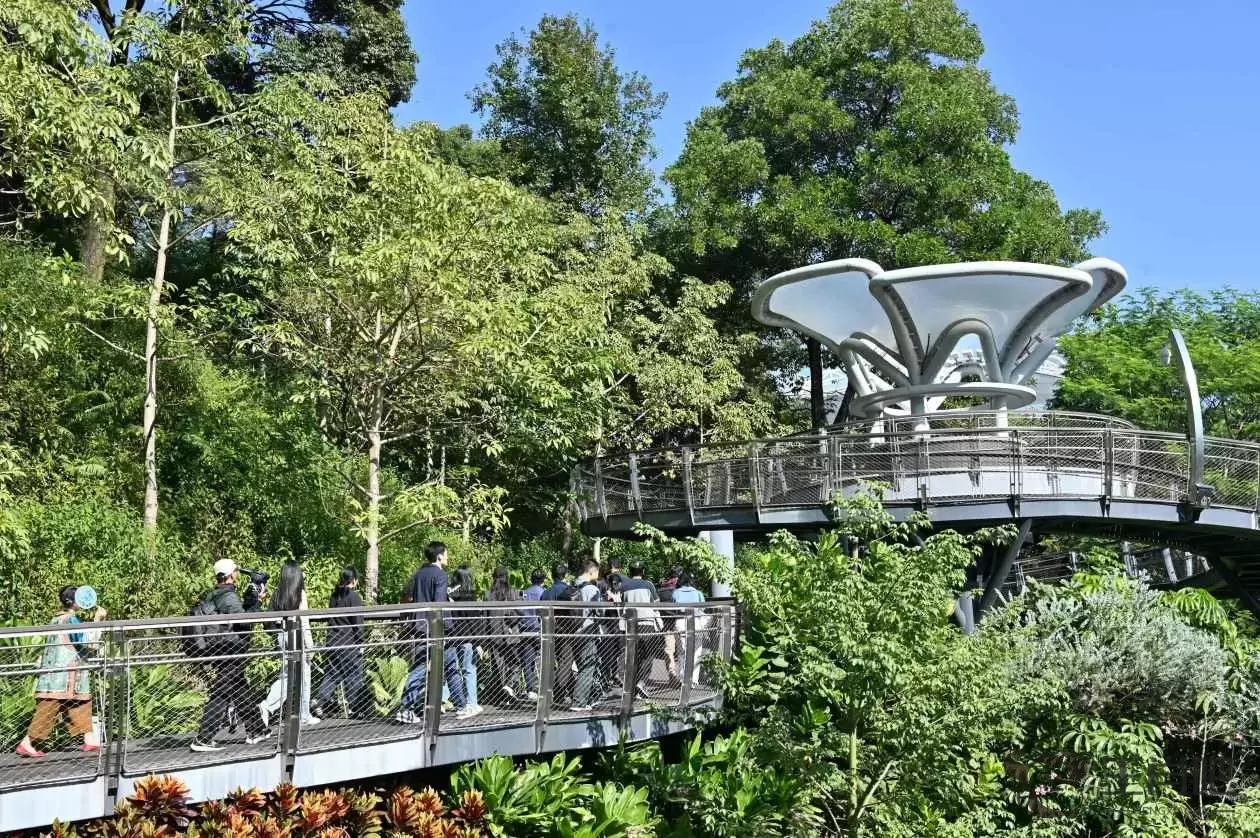 广东广州：探营云萝植物园插图1