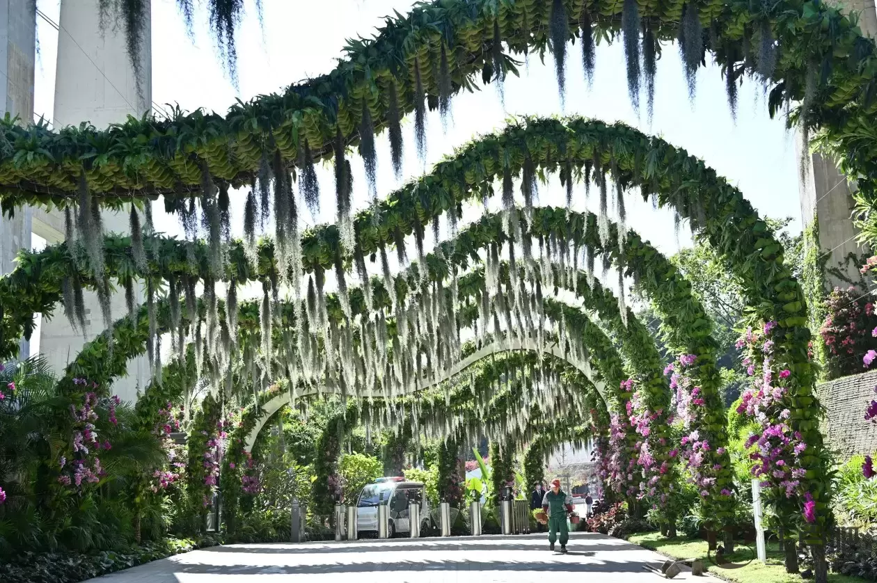 广东广州：探营云萝植物园插图2