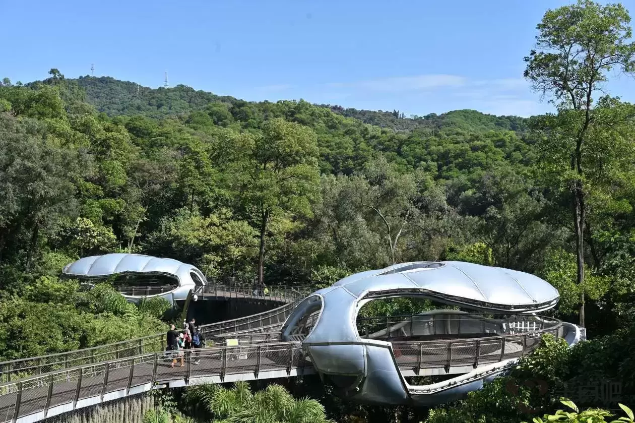 广东广州：探营云萝植物园插图3